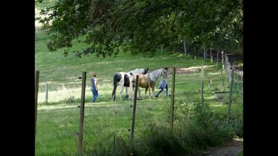Klicken vergr&ouml;&szig;ert
